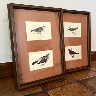 Pair of Vintage Bird Prints with Four Bird Prints Total