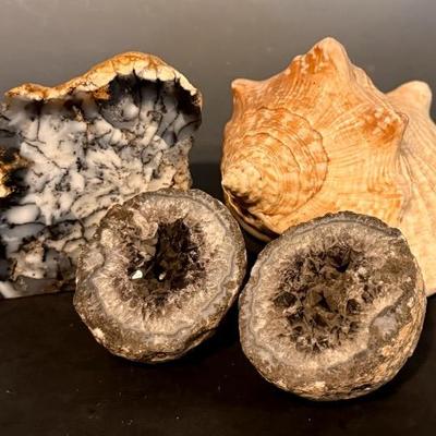 Split Crystal Geode, Conch Shell & Polished Agate
