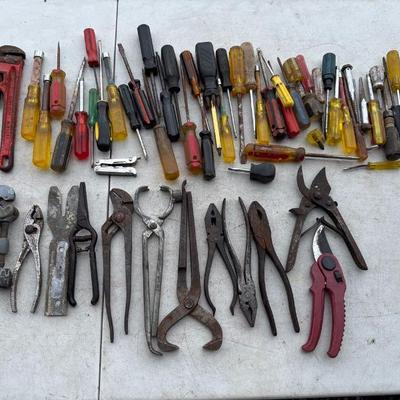 Sale Photo Thumbnail #435