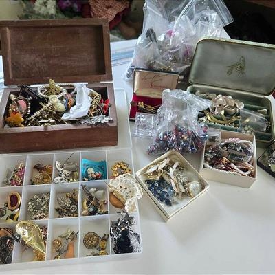 Pins, Beads, And Costume Jewlery 