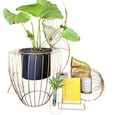 Gold Toned Decor Including Art, Candle Holder, And Live Calathea Plant
