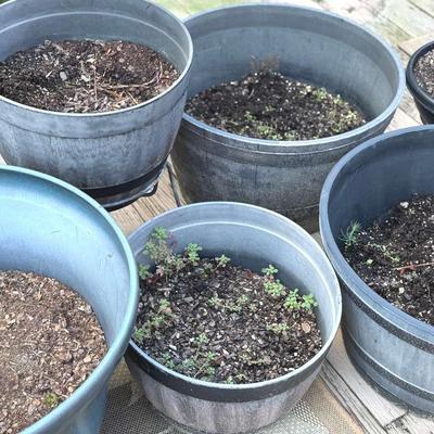 Lot 151: Six Large Planters
