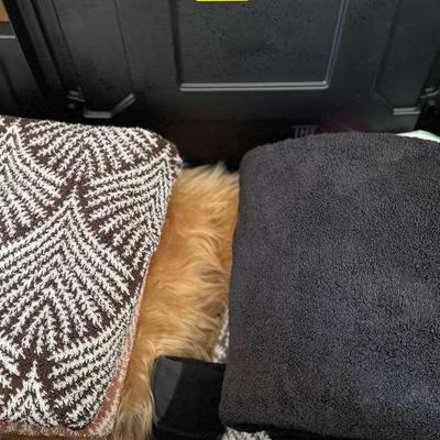 Lot 113: Tote Of Fleece Blankets, Towels, Shag Rug