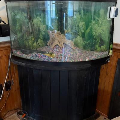 Lot 401: Corner Bow-Front Aquarium with Stand – 50+ Gallons