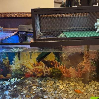 Lot 103:   Complete Fish Tank (36”x18”) with fish and "Ladybug" the Turtle