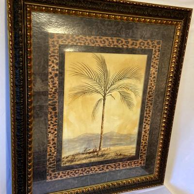 Palm Tree Framed Print