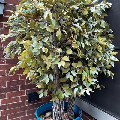 Faux Ficus Tree