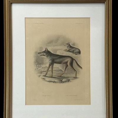 Sale Photo Thumbnail #24