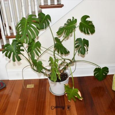 046 living room