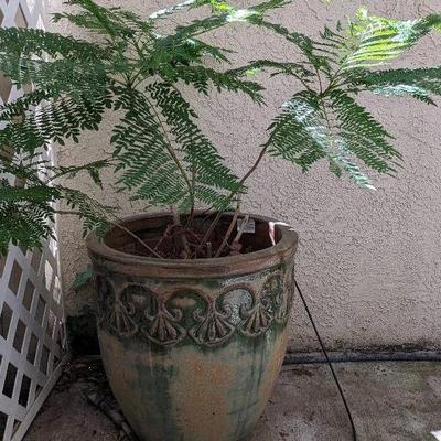 King Lake Round Planter (Green/Brown) With Fern (20"D x 21"H)