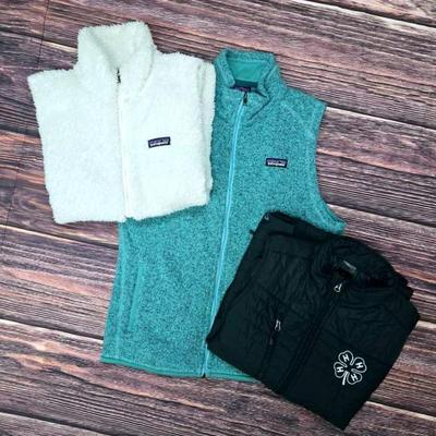 "Patagonia" and "Storm Creek" Vests
