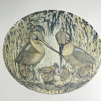 John Morgan “Woodcock” Signed & Numbered Print - 17x23”