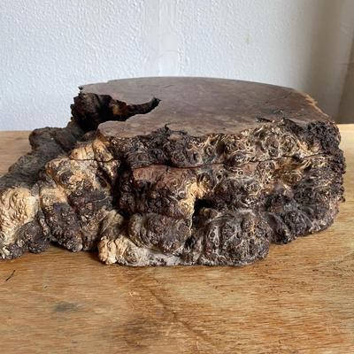 Natural Wood Burl Carved Display or Tray
