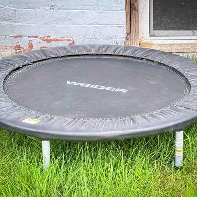 WEIDER Mini Trampoline