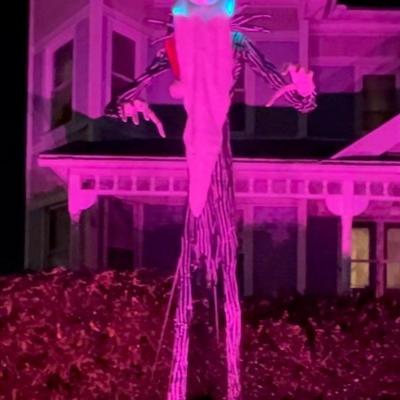 Halloween 13 Ft Giant-Sized Animated LED Jack Skellington Skeleton & Zero *MODIFIED
