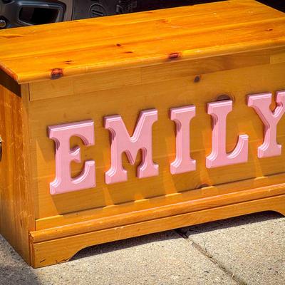 EMILY Toy Box