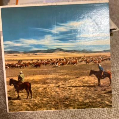 Sale Photo Thumbnail #171