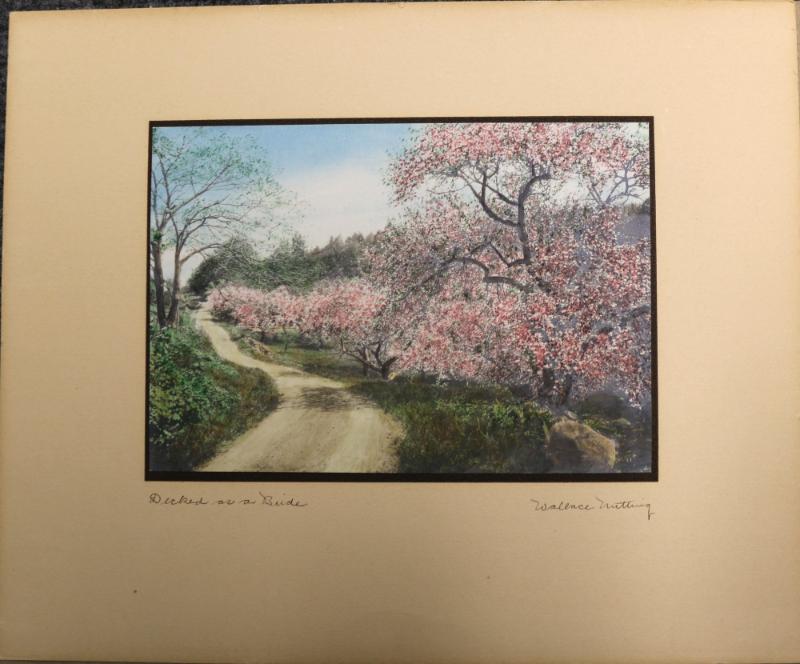 Sale Photo Thumbnail #25