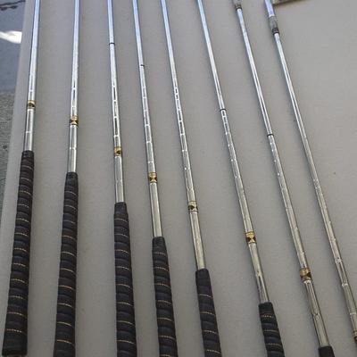 Vintage Set Of Walter Hogen Signature Haig-Ultra Irons