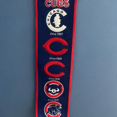 CUBS Banner