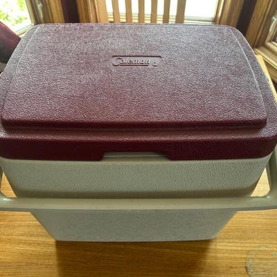 Small Cooler