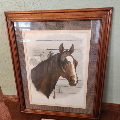 Framed "Stymie" Franklin Stokes Racehorse Lithograph - 29x35" 