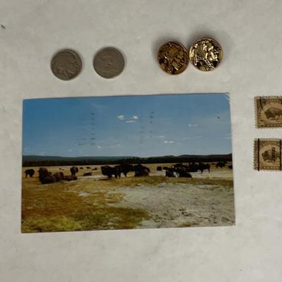 Buffalo Head Coins And Collectables