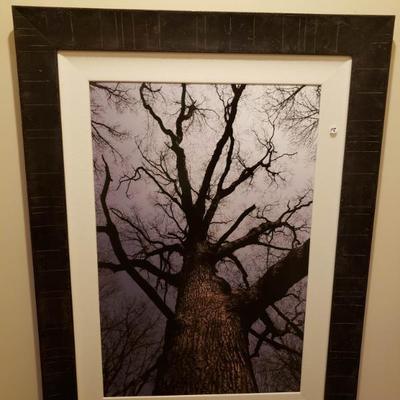 Sale Photo Thumbnail #135