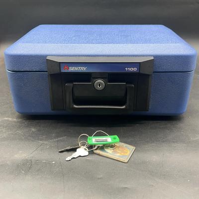 AY143E Sentry 1100 Safe