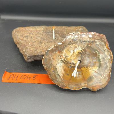 AY126E Earthstone And Petrified Wood Wick Lambs
