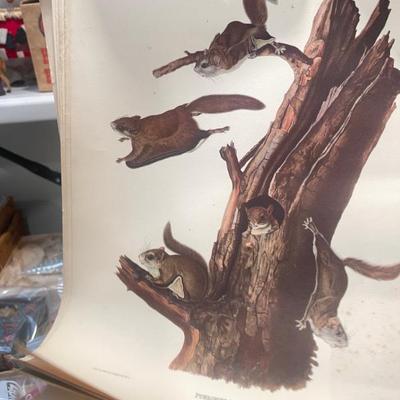 Sale Photo Thumbnail #184