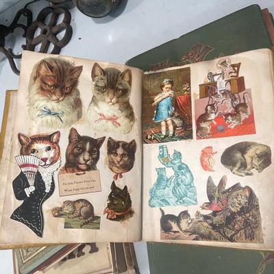 Sale Photo Thumbnail #164