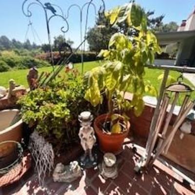 Sale Photo Thumbnail #42
