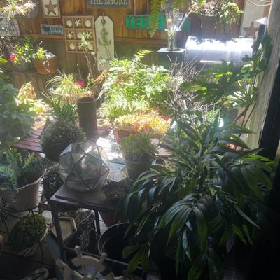 Sale Photo Thumbnail #45