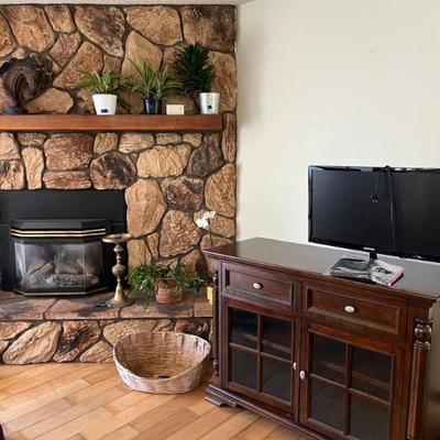 Sale Photo Thumbnail #9: Plants and TVs 