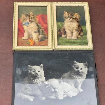 (2) Antique D. Merlin Daniel Puffy Cat 3-D Pictures & Lovely Cat Photograph 