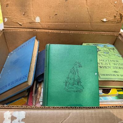 Mystery Box Of Vintage Books