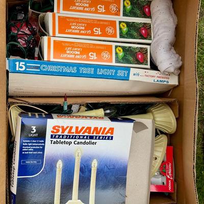 Mystery Lot Of Holiday Lighting 