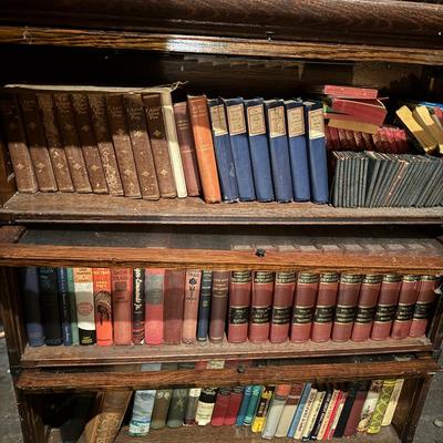 Mystery Lot Of Vintage/Antique Books