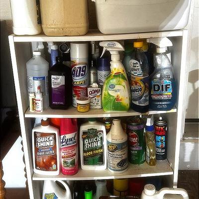 Large Cleaning & Other Chemical Variety Lot with Shelf