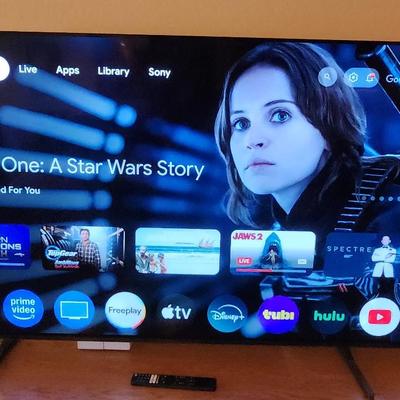 Sony 65 Inch T.V.