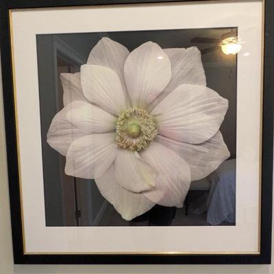 Sale Photo Thumbnail #130