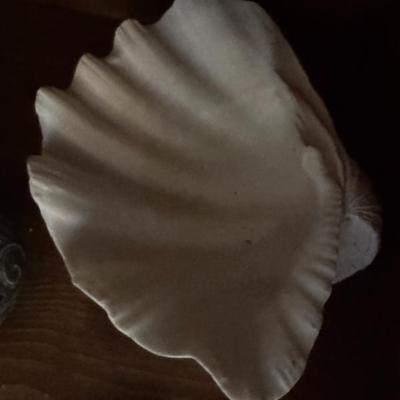 Sale Photo Thumbnail #148
