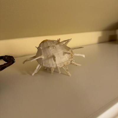 Sale Photo Thumbnail #87
