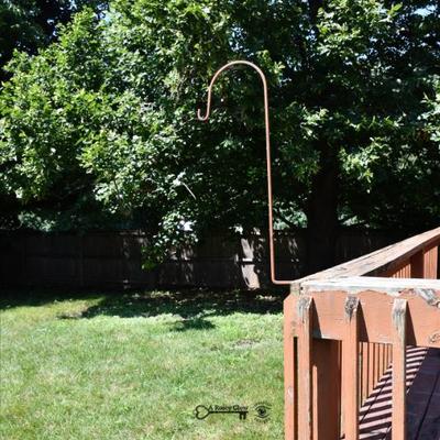 764 back yard