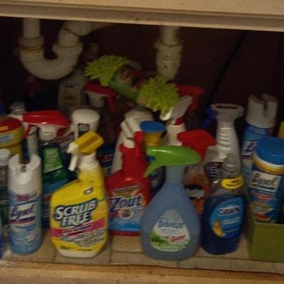 Under Sink Cleaning Supplies