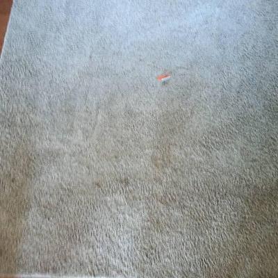 2 Large Area Rugs 