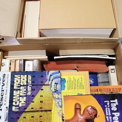 Mystery Lot Of Paperback Book 2