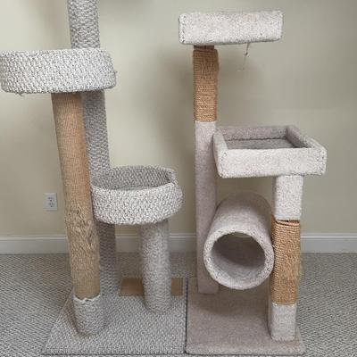 Scratching Posts