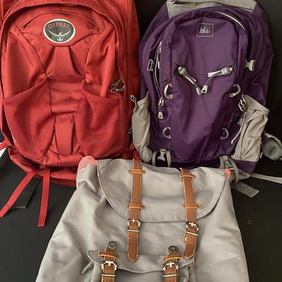 Three Backpacks 